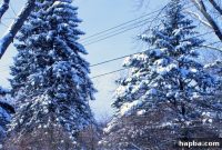 Winter Update