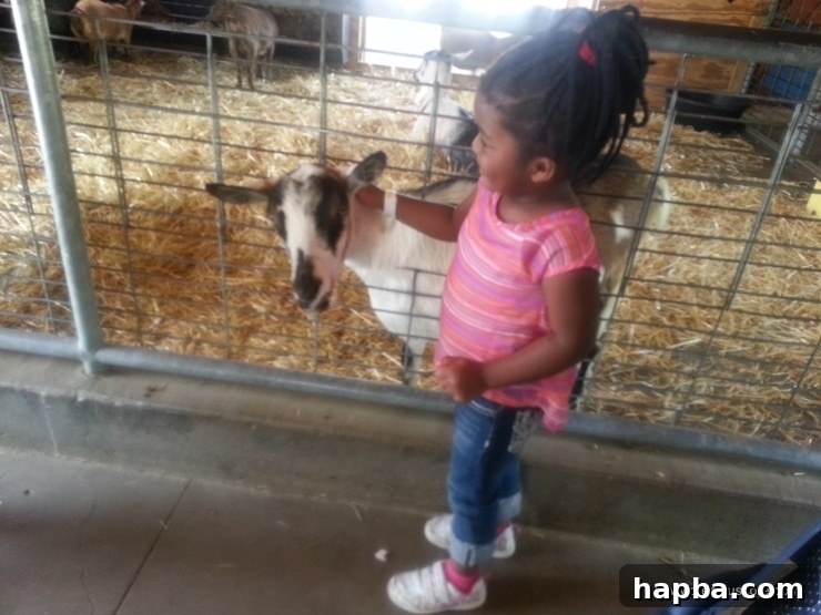 Minnesota Zoo Adventure 3 Youngest daughter interacting with goats at the animal farm