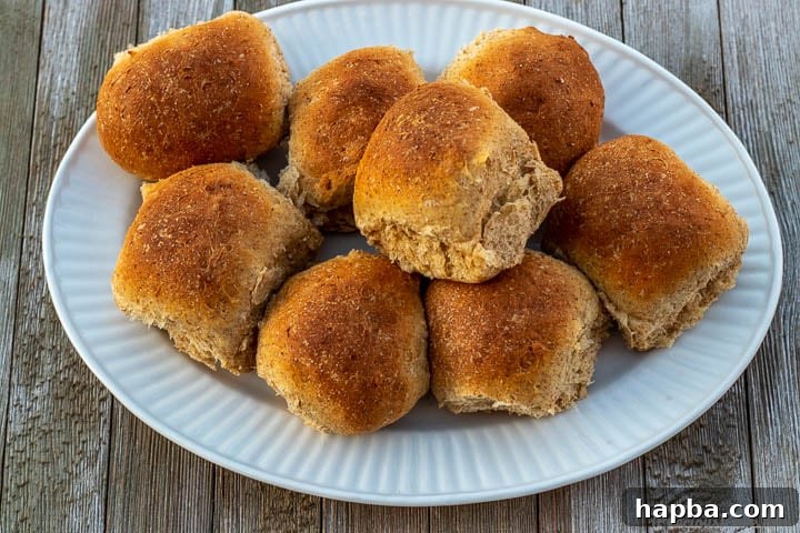 Whole wheat rolls arranged beautifully on a pristine white serving platter, ready to be enjoyed.