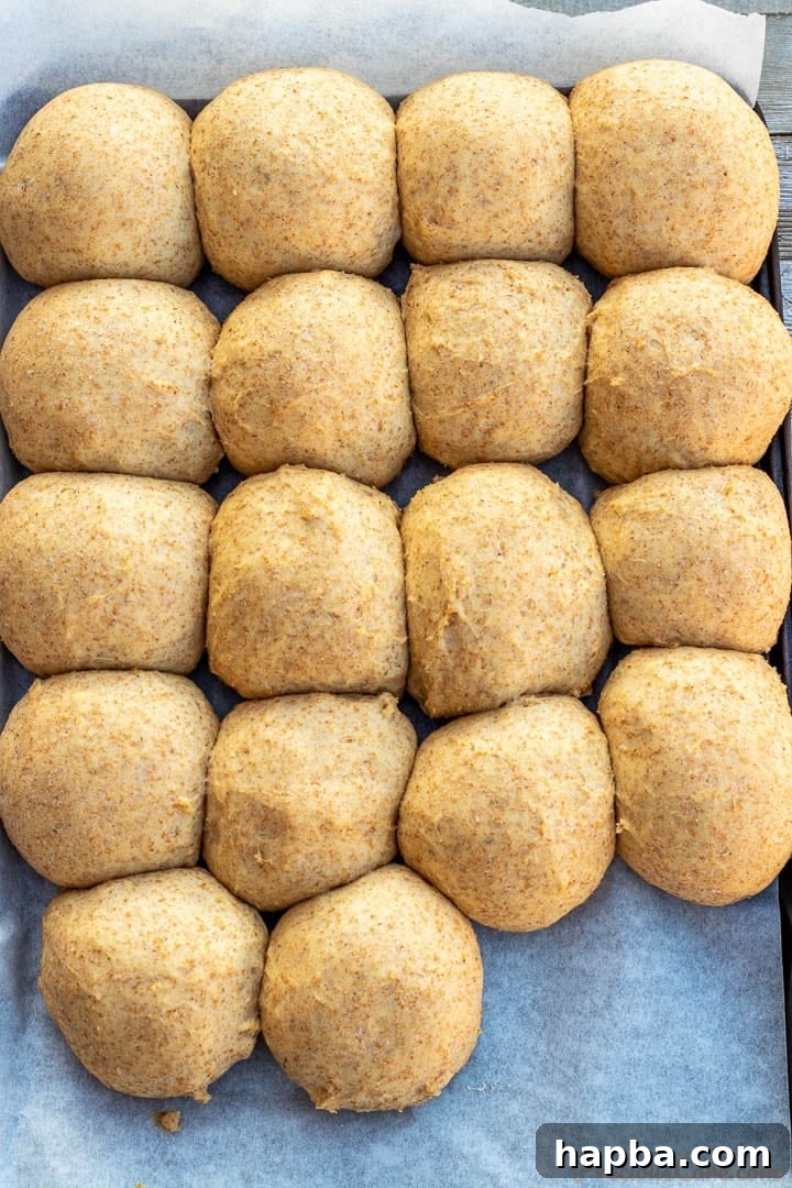 Raw, unbaked dinner rolls neatly arranged on a baking sheet, patiently rising before being placed in the oven.