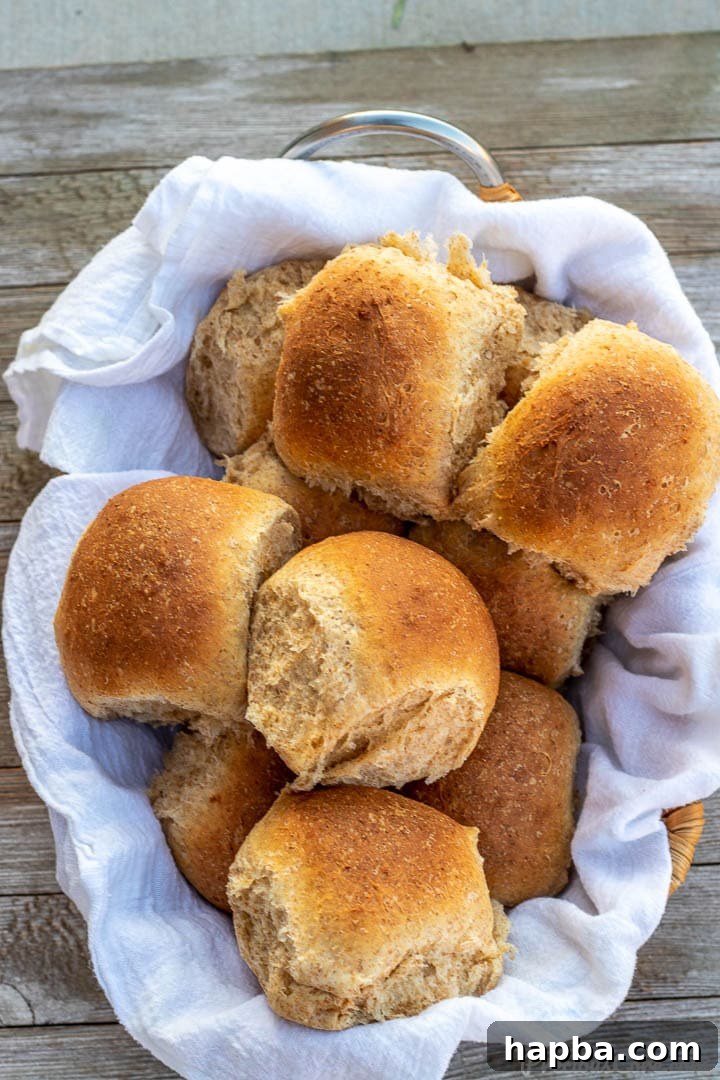A charming basket filled to the brim with warm, freshly baked wheat rolls, inviting you to grab one.