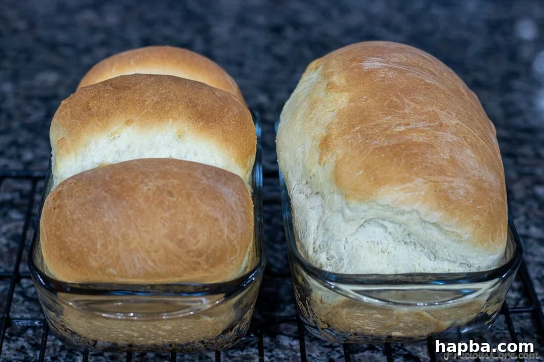 Effortless Homemade Sandwich Bread 3 Two golden loaves of easy homemade sandwich bread resting in clear glass loaf pans, showcasing their perfect rise and golden-brown crust.