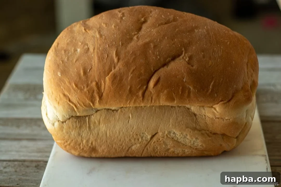 Effortless Homemade Sandwich Bread 5 A freshly baked, golden-brown loaf of soft sandwich bread displayed prominently on a sleek marble board, ready to be sliced.