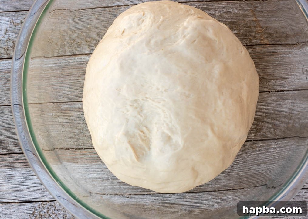 Effortless Homemade Sandwich Bread 6 A soft, elastic ball of sandwich bread dough resting in a large, lightly oiled mixing bowl, covered for its first rise.