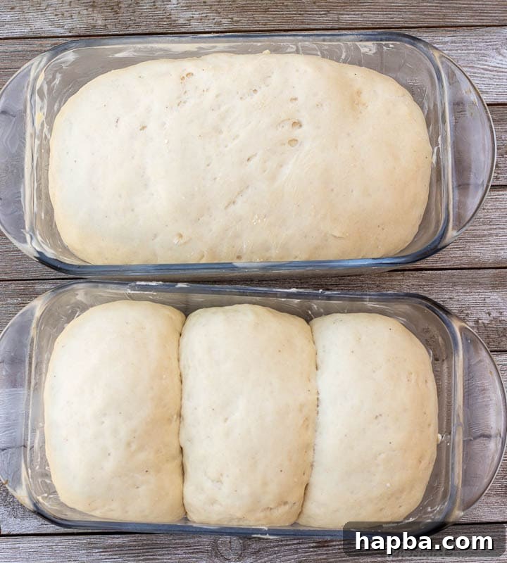 Effortless Homemade Sandwich Bread 8 Two loaves of bread dough beautifully risen in loaf pans, almost reaching the top, indicating they are ready for baking.