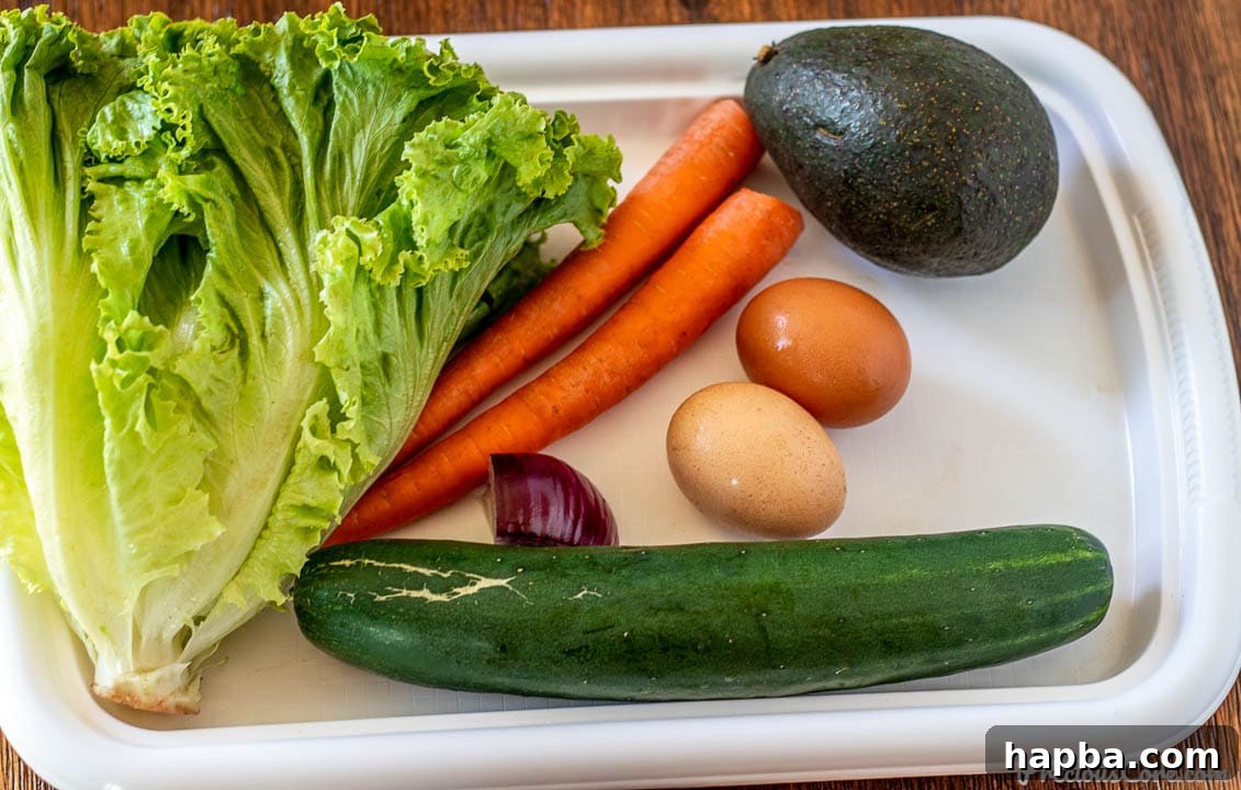 Assortment of fresh salad ingredients laid out: crisp green leaf lettuce, vibrant carrots, fresh cucumber, creamy avocado, and protein-rich hard-boiled eggs.