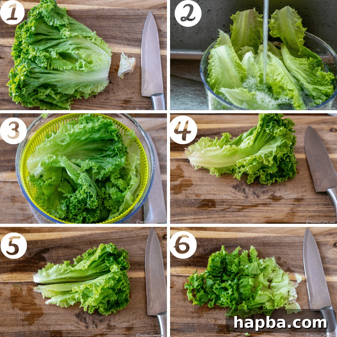 A step-by-step visual guide demonstrating how to properly cut lettuce for a salad, from removing the core to chopping the leaves.