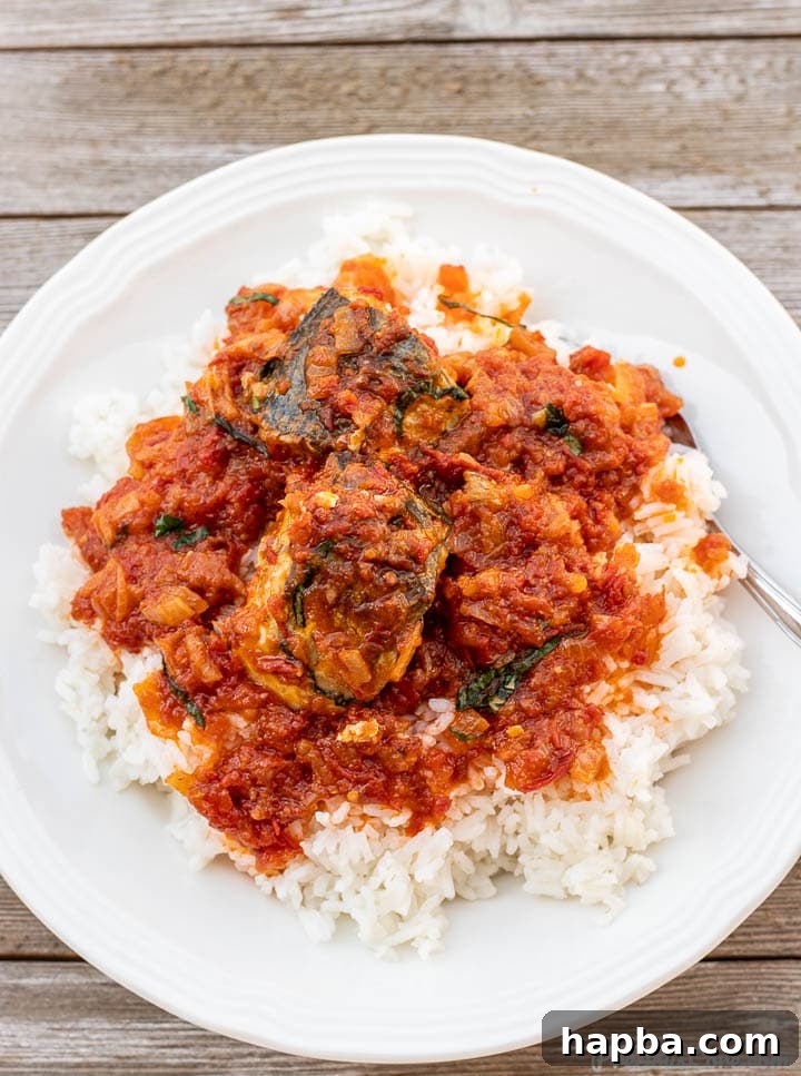 A plate of fluffy white rice crowned with generous servings of delicious Tomato Fish Stew, highlighting a perfect dinner combination.