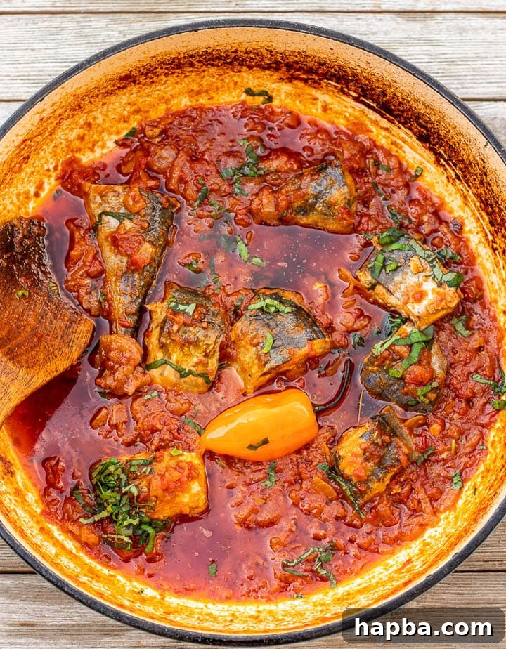 A vibrant, bubbling tomato-based fish stew simmering in a deep sauté pot, showcasing its rich texture and color, perfect to be served with rice.