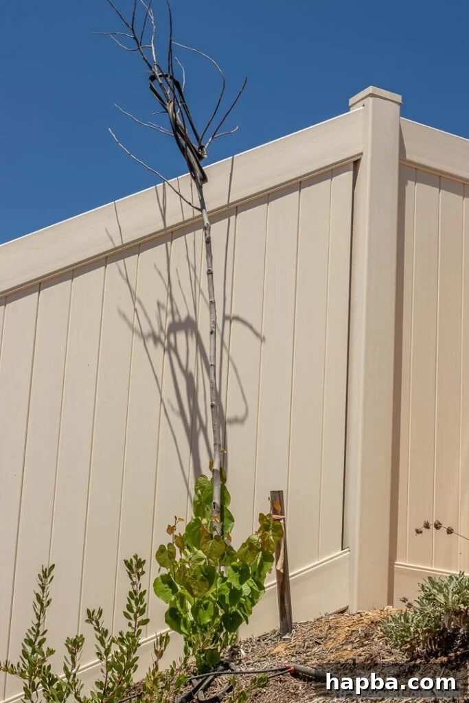 A tree leaning on a modern fence, showing new, vibrant green growth from a seemingly dead trunk.