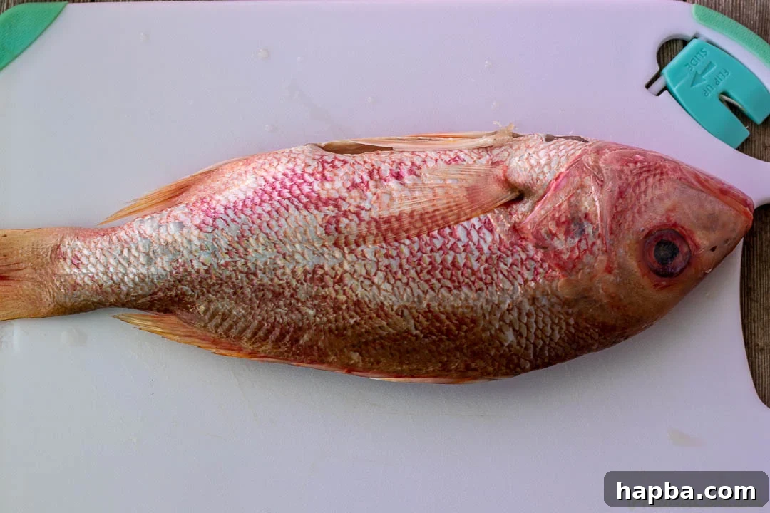 A raw whole red snapper resting on a chopping board, meticulously cleaned and prepared for cooking.