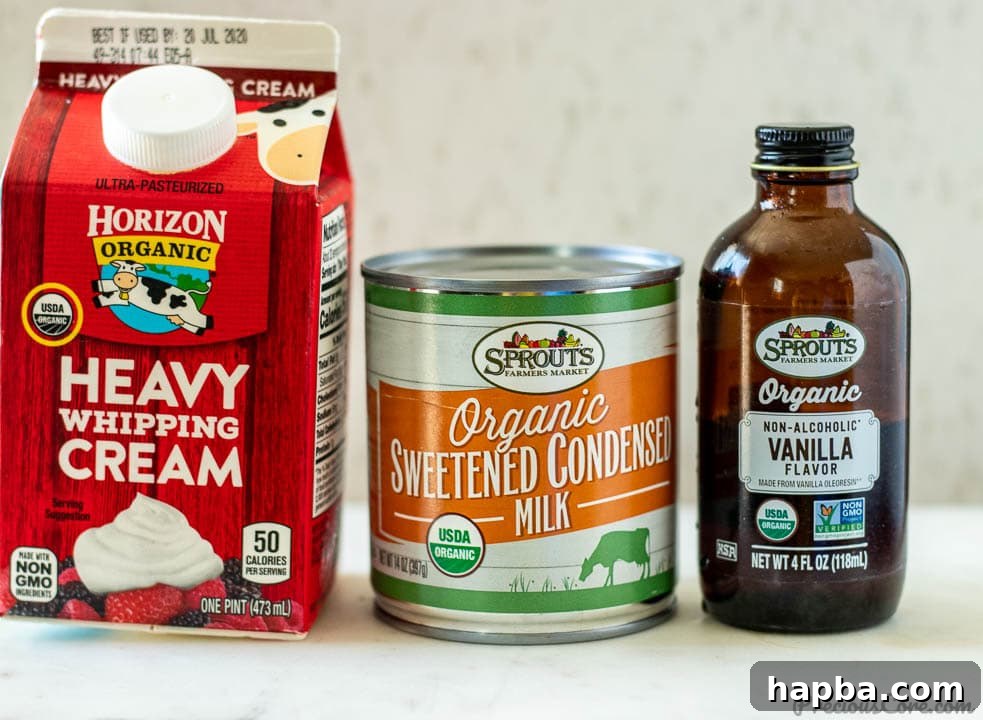The three essential ingredients for no-churn vanilla ice cream beautifully arranged: a carton of heavy whipping cream, a can of sweetened condensed milk, and a bottle of pure vanilla extract.