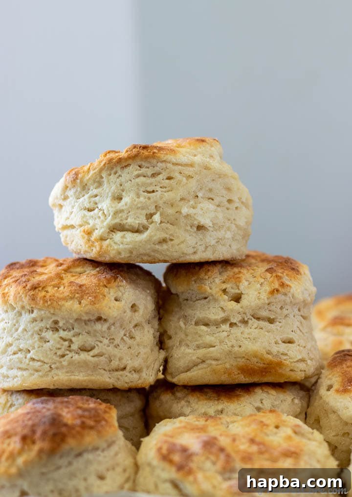 A stack of perfectly baked, golden-brown cream cheese biscuits.
