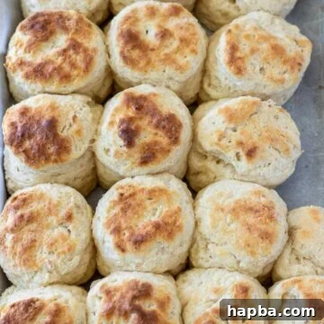 Biscuits made with cream cheese on a baking sheet.