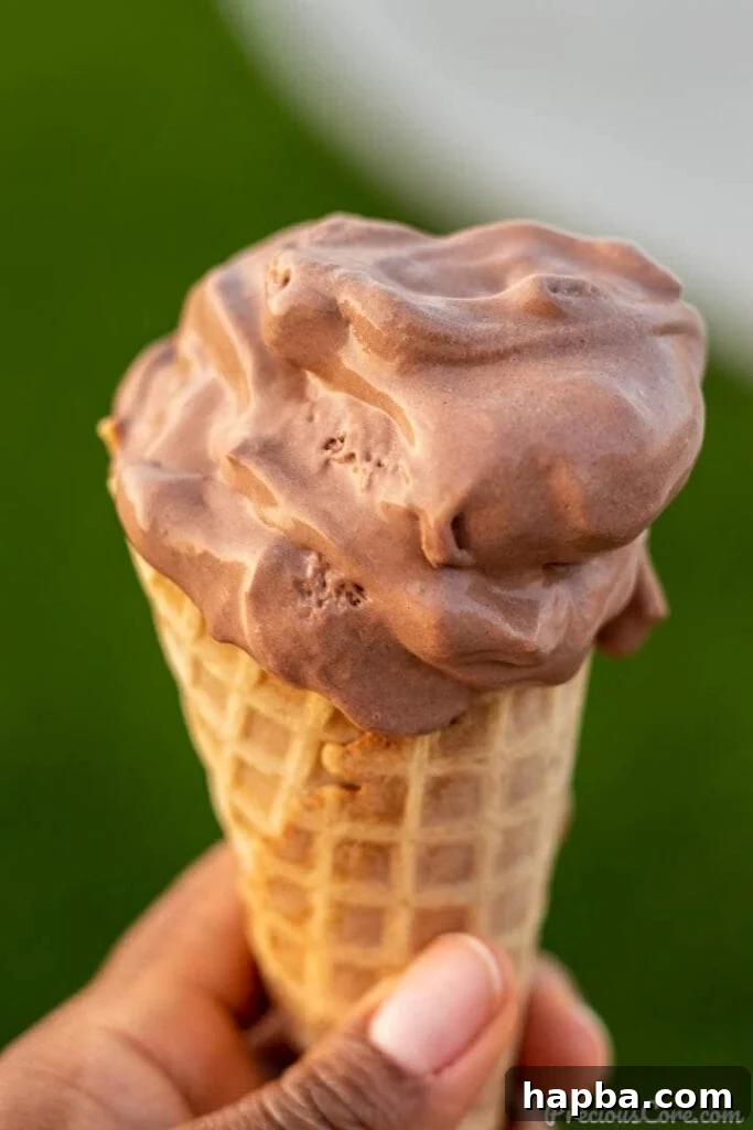 HAND HOLDING CONE OF CHOCOLATE ICE CREAM