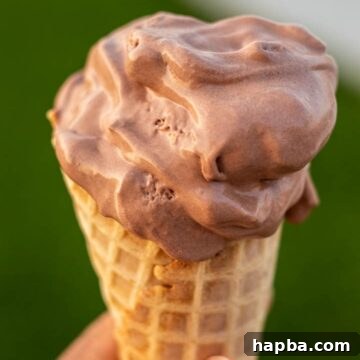 HAND HOLDING CONE OF CHOCOLATE ICE CREAM