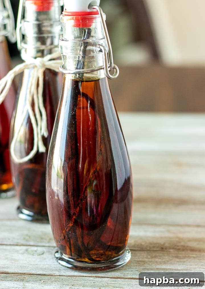 Pure Vanilla Perfection From Your Kitchen 2 Rows of homemade vanilla extract bottles, showcasing different sizes and shades of golden brown liquid, some with visible vanilla beans inside.