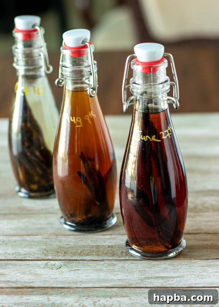 Pure Vanilla Perfection From Your Kitchen 5 Three homemade vanilla extract bottles with brown labels, tied with string and placed on a rustic wooden surface.