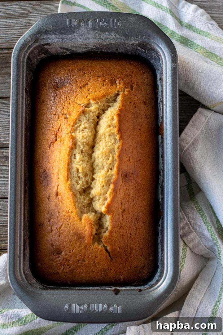 Baked vanilla pound cake in loaf pan