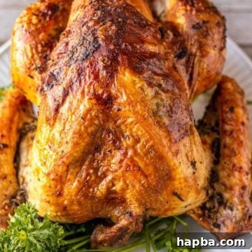 Whole turkey on white platter, garnished with parsley
