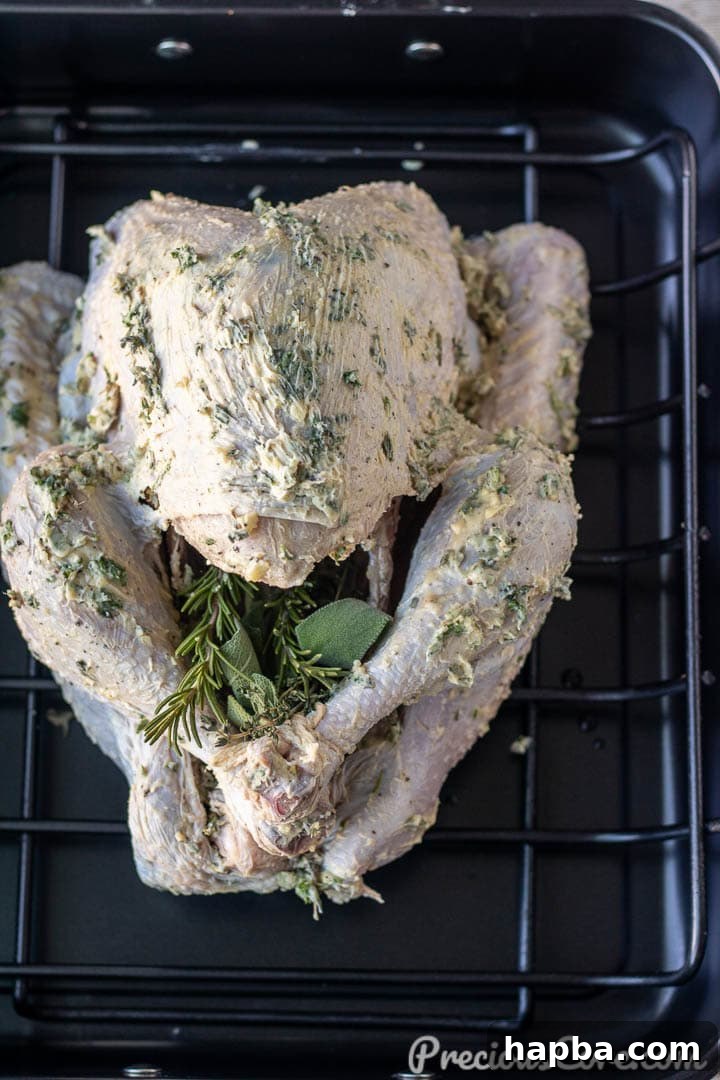 Herb-Crusted Roast Turkey 4 Turkey generously rubbed with garlic herb butter, ready for roasting