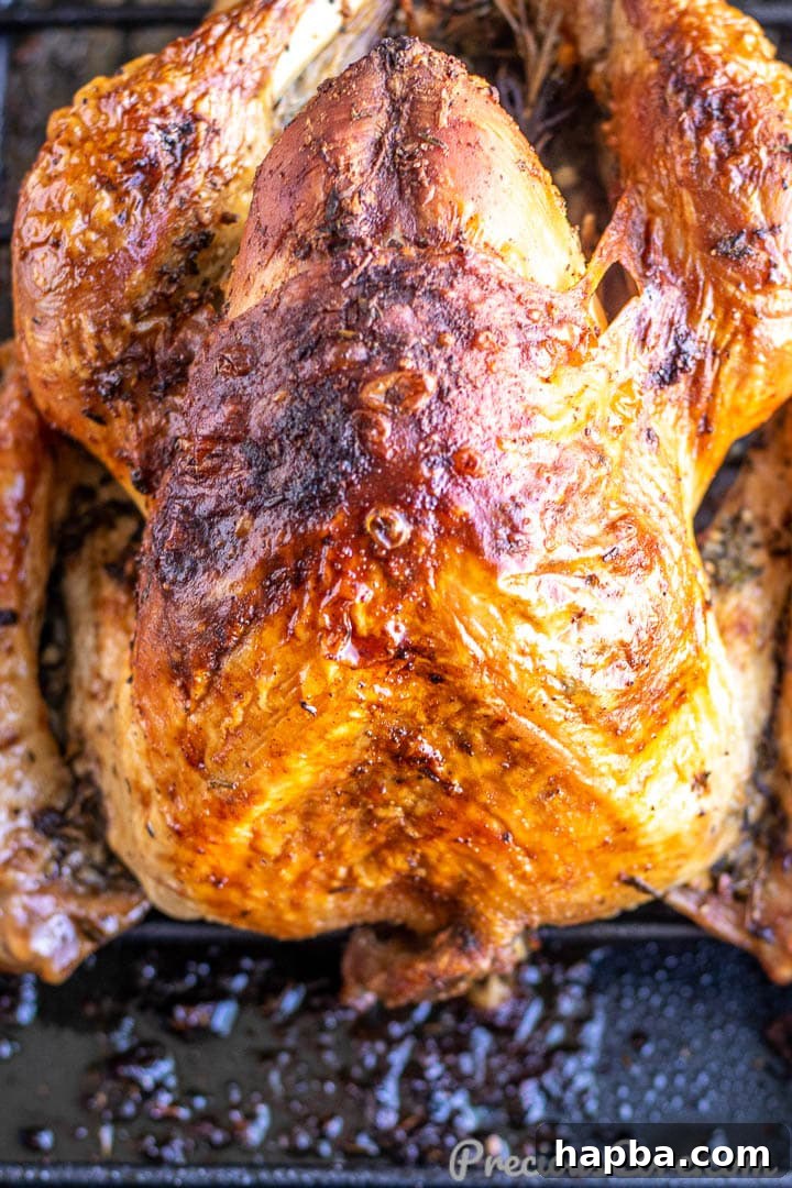 Herb-Crusted Roast Turkey 5 Roasted turkey in a roasting pan, still in the oven, achieving a perfect golden-brown color