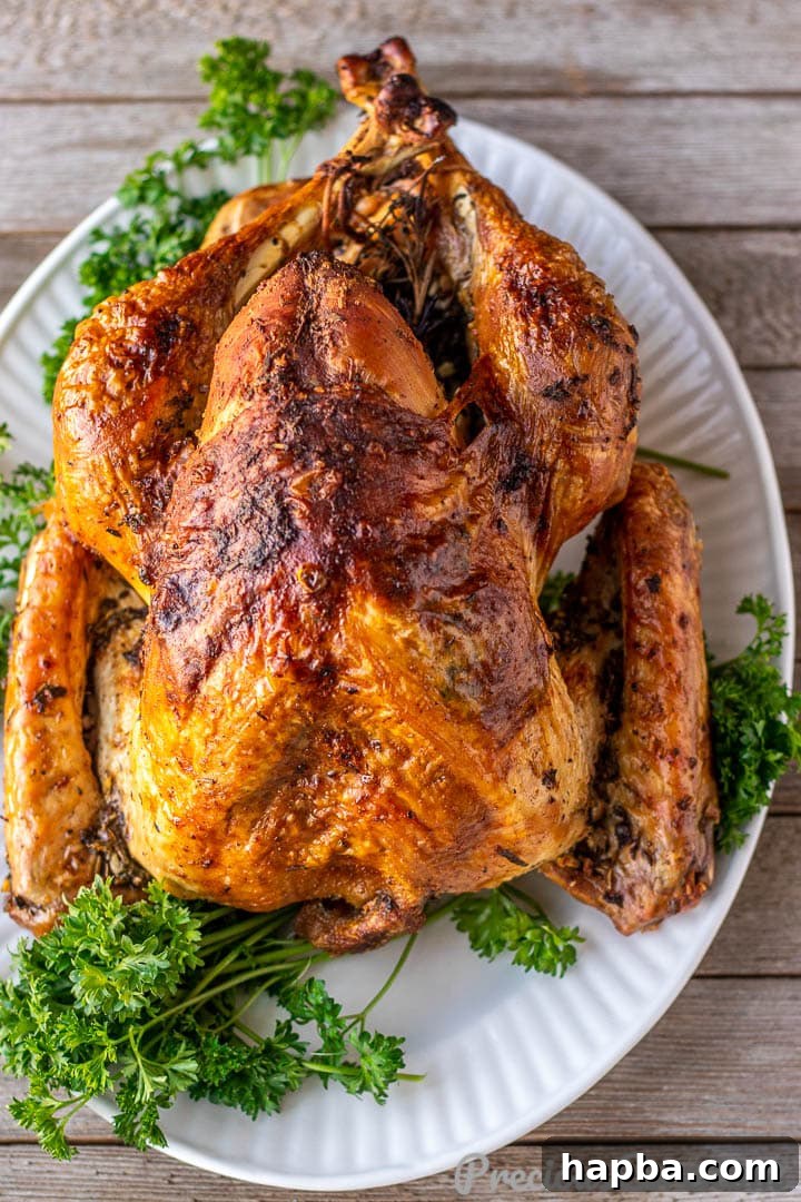 Herb-Crusted Roast Turkey 6 Whole herb roasted turkey on a platter, resting after being removed from the oven