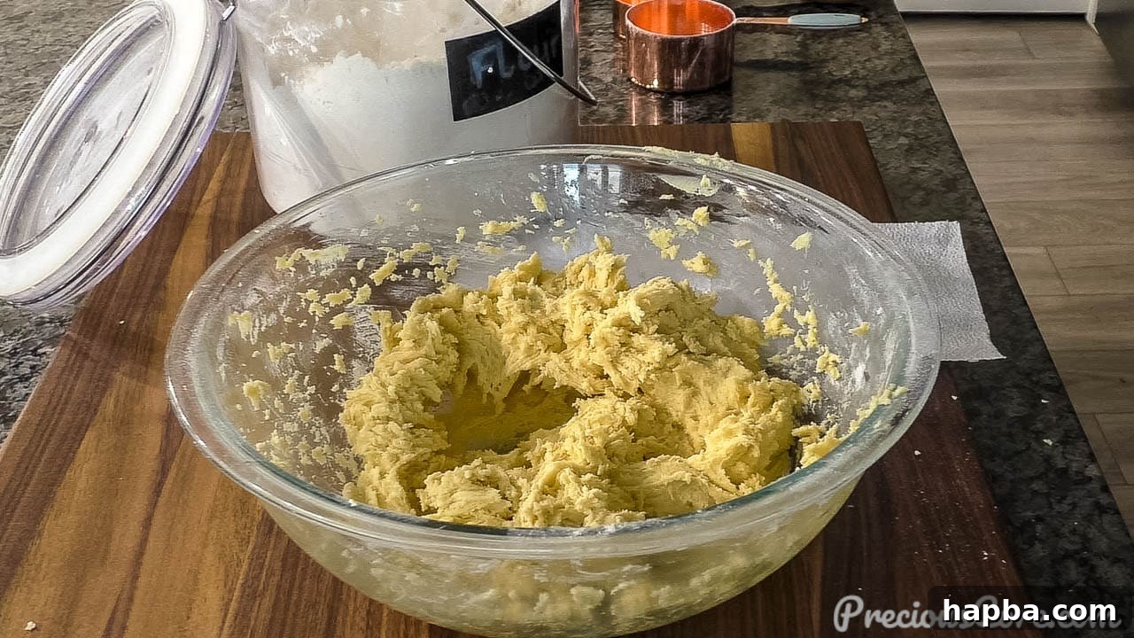 Close-up shot of perfectly mixed butter cookie dough in a mixing bowl.
