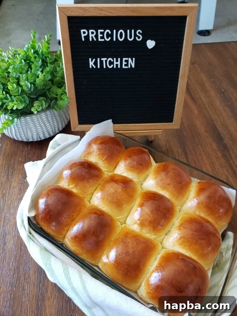 Dinner Rolls in Pan