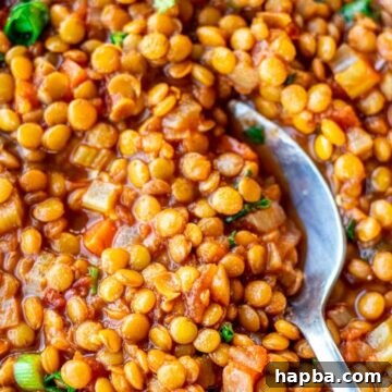 Hearty Lentil Pot 11 Spoon digging into a bowl of Lentil Stew.