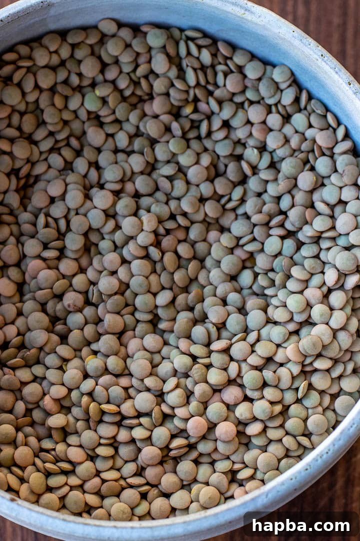 Hearty Lentil Pot 3 Green Lentils in a bowl.