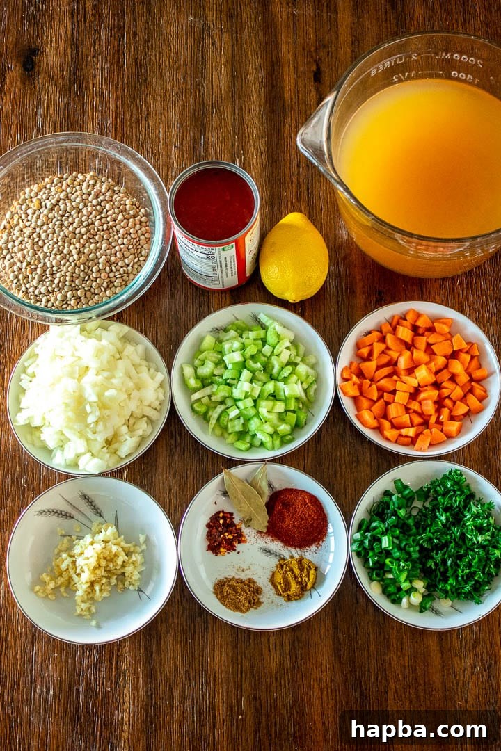 Hearty Lentil Pot 4 Ingredients for Lentil Stew on a table