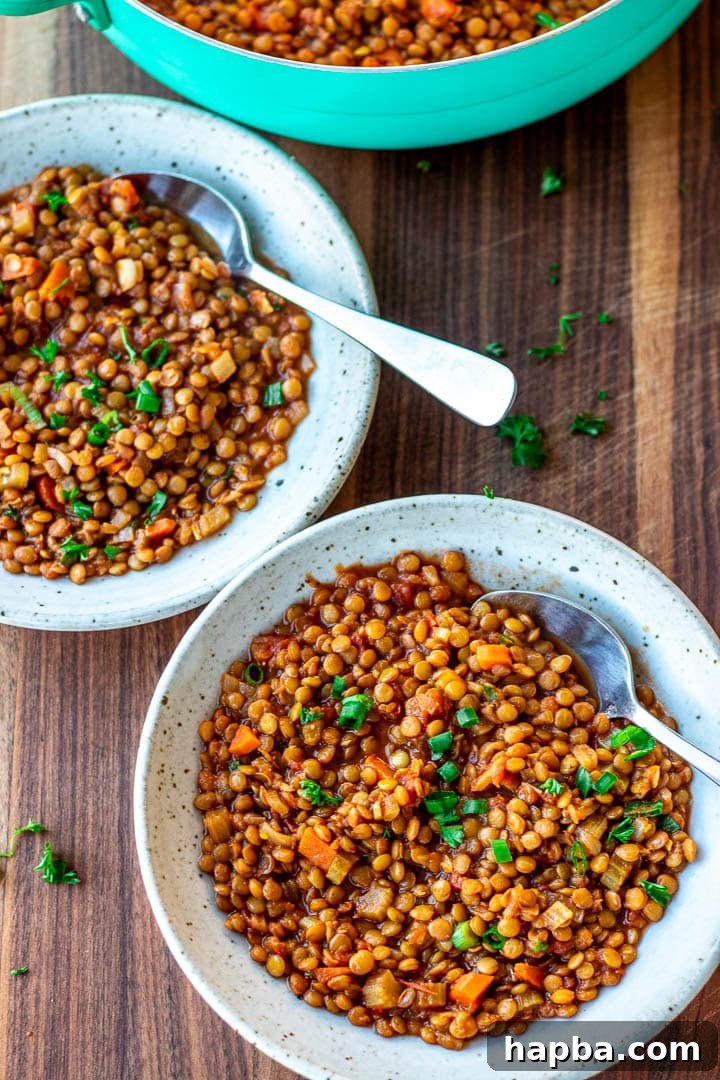Hearty Lentil Pot 5 Two bowls of Lentil Stew.