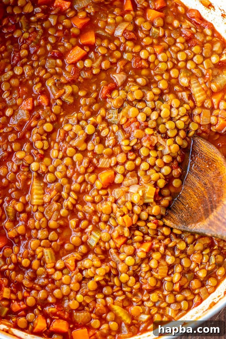 Hearty Lentil Pot 8 Cooked Lentil Stew in pot
