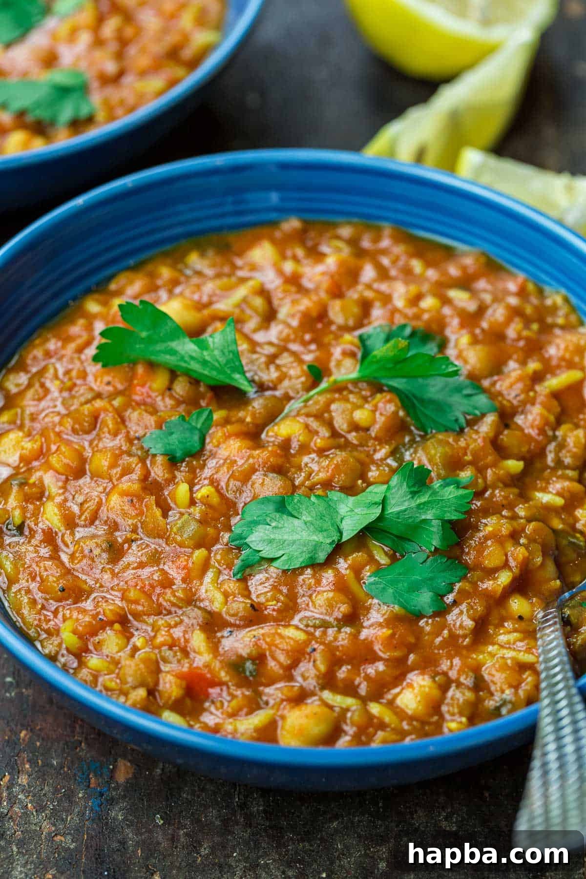 A Culinary Safari: 20 African Dinner Dishes 11 Harira in a Bowl. North Africandinner recipe
