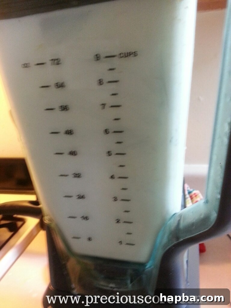 Mint-infused dairy mixture in a blender