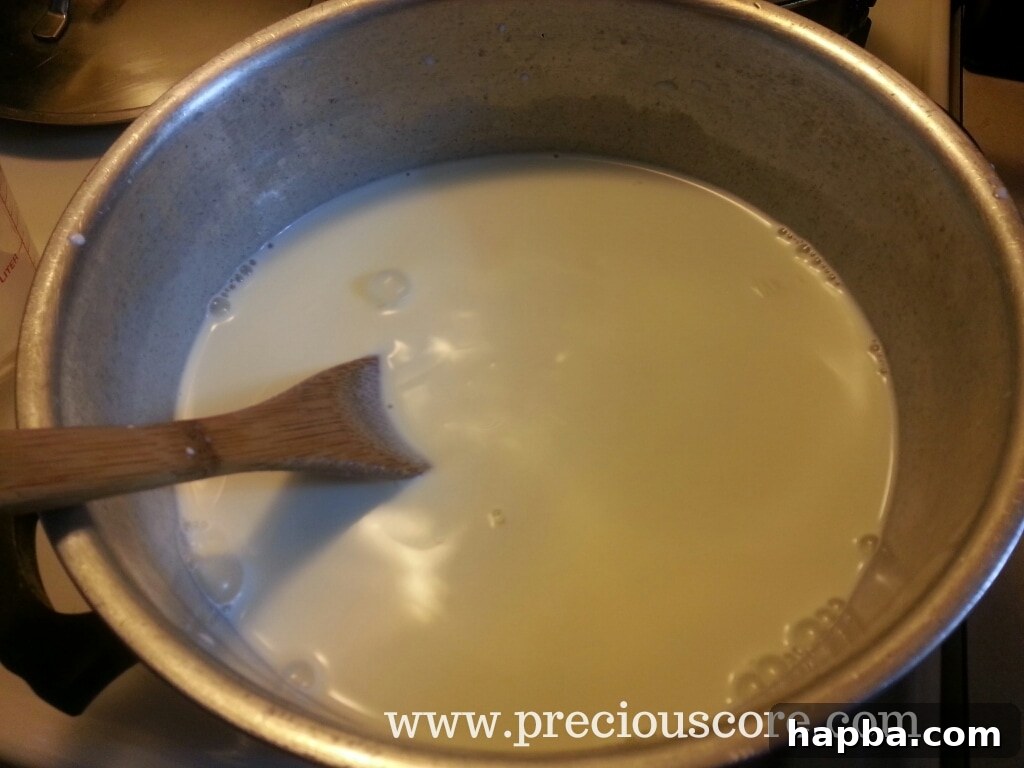 Dairy mixture heating in a pot