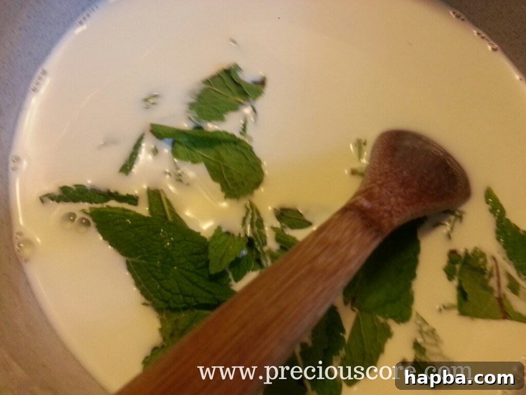 Mint leaves added to warm dairy