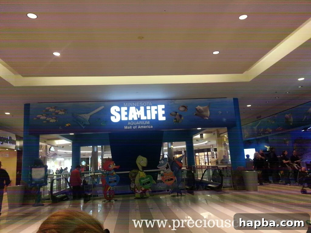 Child observing sea creatures in a touch pool at Sea Life Aquarium
