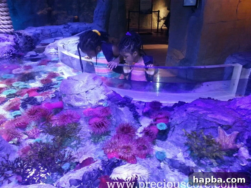 Baby girl looking intently at an aquarium exhibit