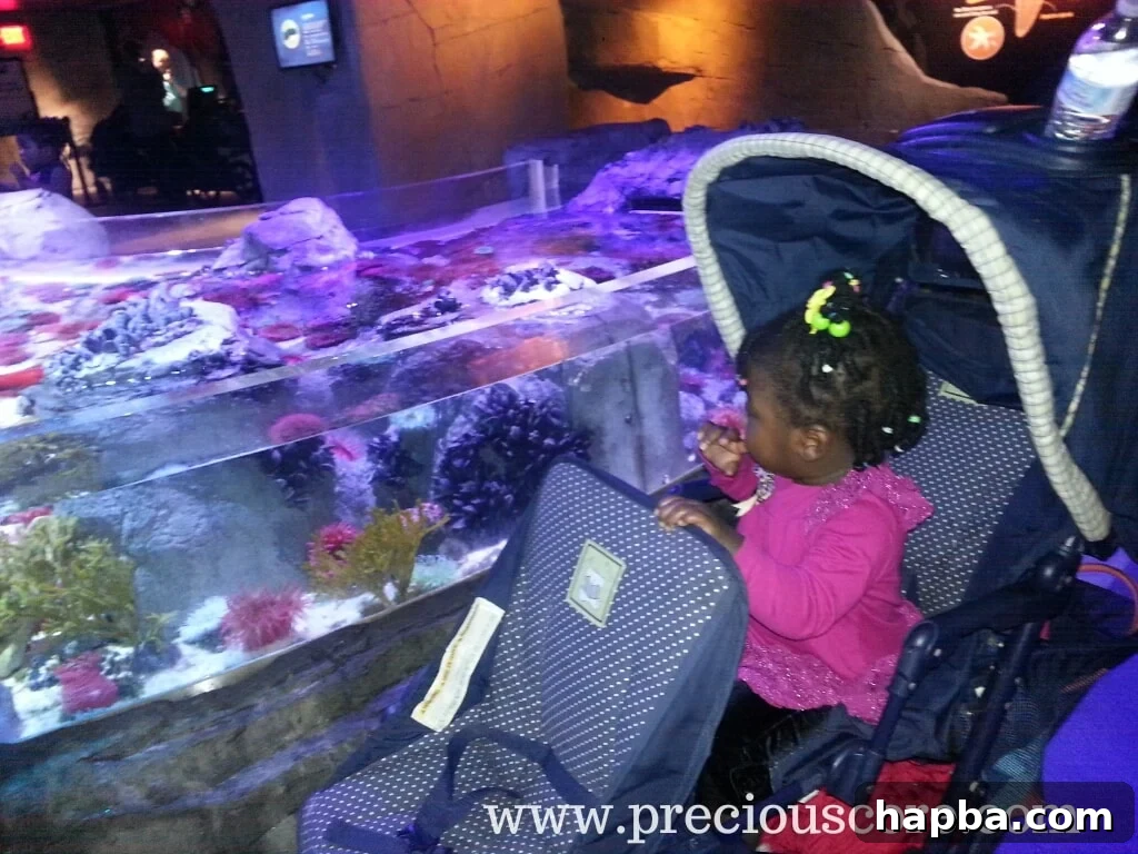 Children captivated by seahorses in an aquarium tank