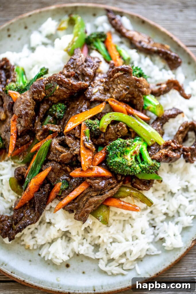 Plate of Beef Stir Fry With Rice