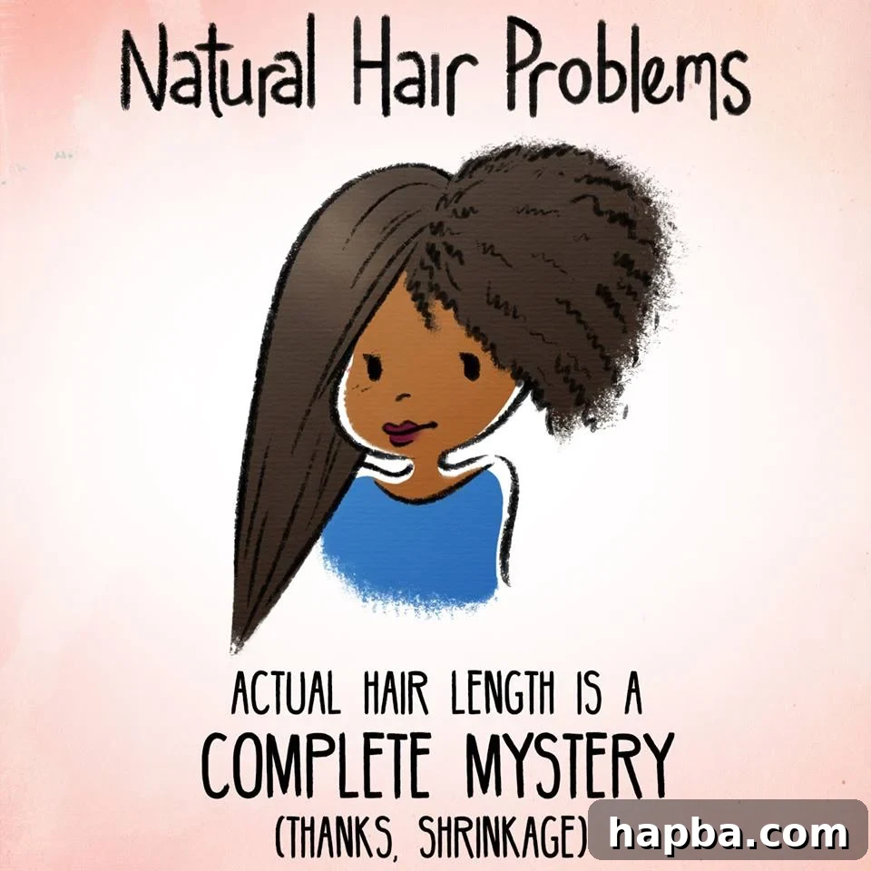 A humorous meme illustrating natural hair shrinkage, showing how curly hair can look much shorter than its actual stretched length.