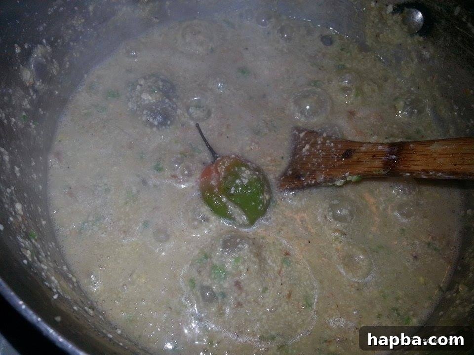 Crafting Delicious Okra Egusi Soup 9 The finished Okra Egusi Soup, rich and vibrant