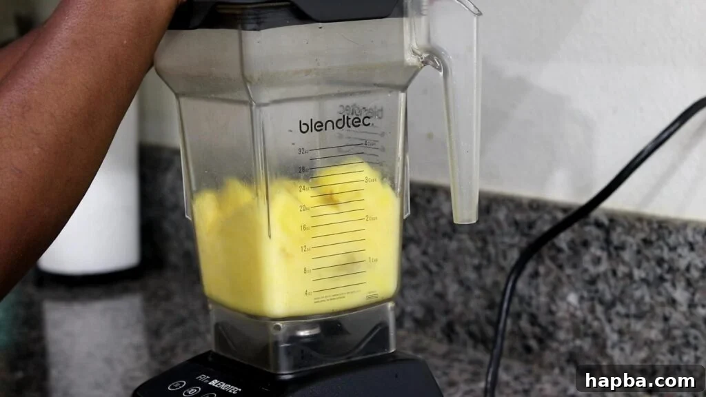 Tropical Zest Lemonade 5 Pureeing pineapples in blender for lemonade