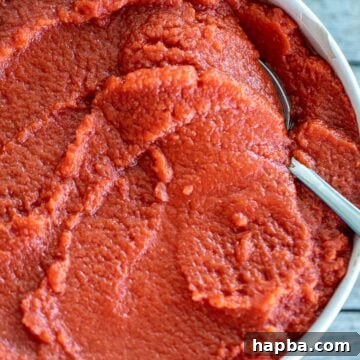 Big bowl of rich, red homemade tomato paste, ready for use or storage