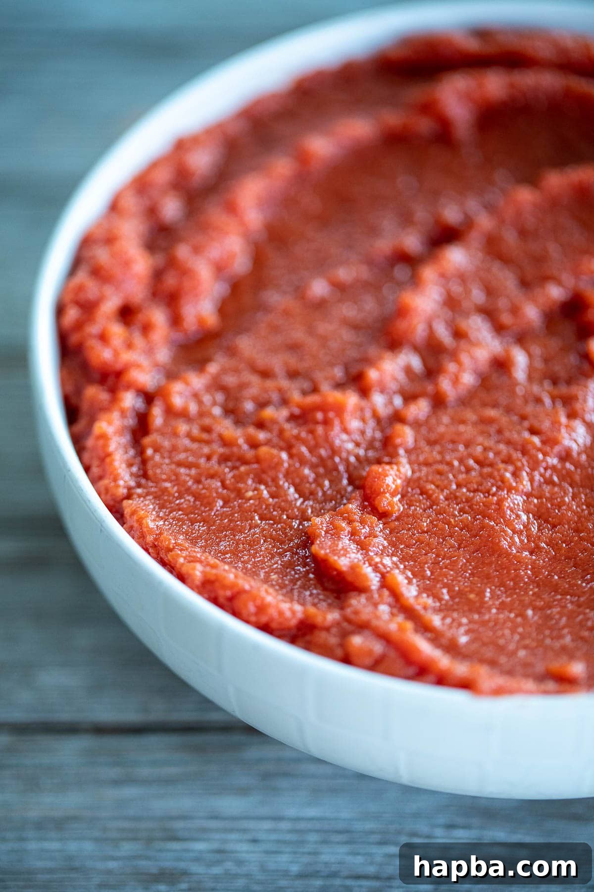 Artisan Homemade Tomato Paste 3 Close-up picture showing the thick, smooth texture of freshly made homemade tomato paste