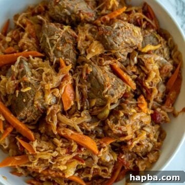 Bowl of Beef and Cabbage Stew