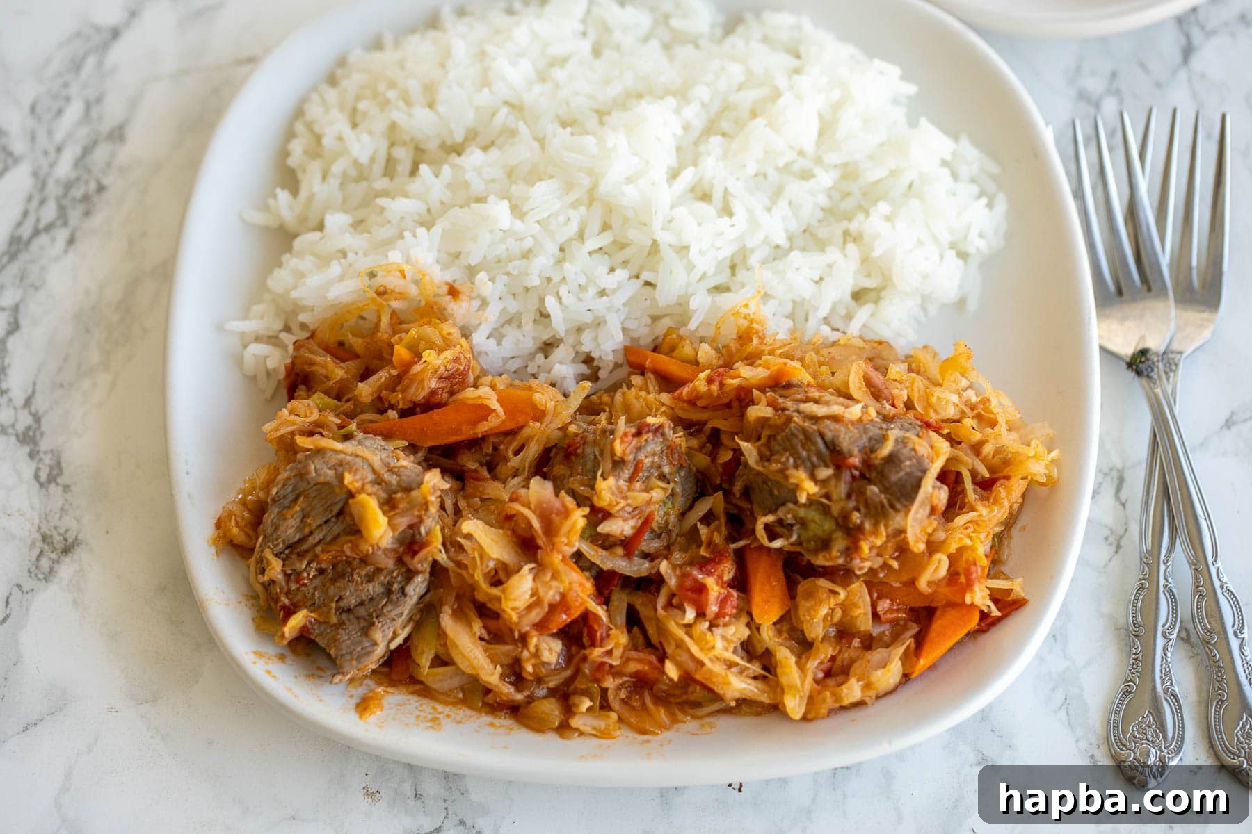 A beautifully plated dish of Cabbage and Beef Stew served with fluffy white rice, showcasing its vibrant ingredients.