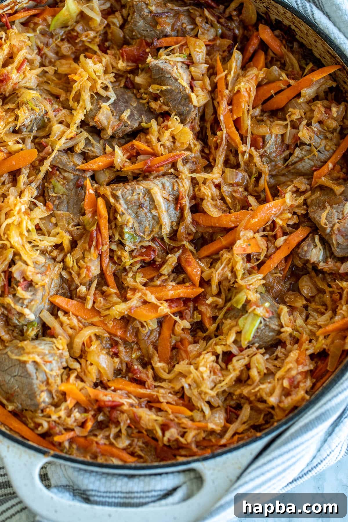A finished pot of Cabbage and Beef Stew, rich and steaming, showcasing its comforting texture and colors.